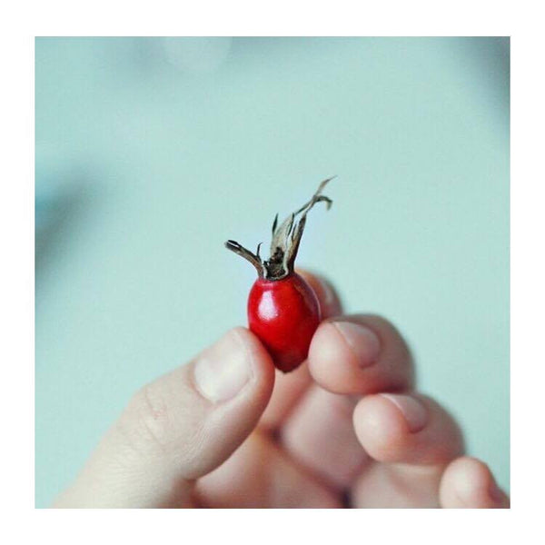 Is rose hip oil the game changer in your skin care routine?