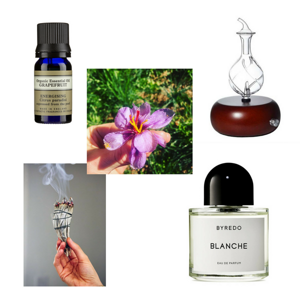 The scent we hold on to