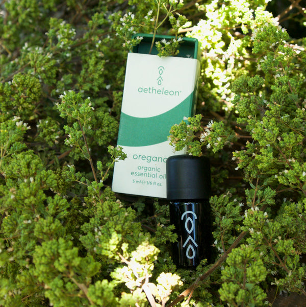 Oregano essential oil